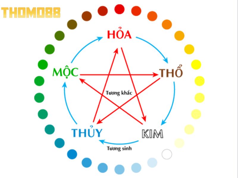Lựa chọn màu của gà chiến dựa vào tương sinh ngũ hành